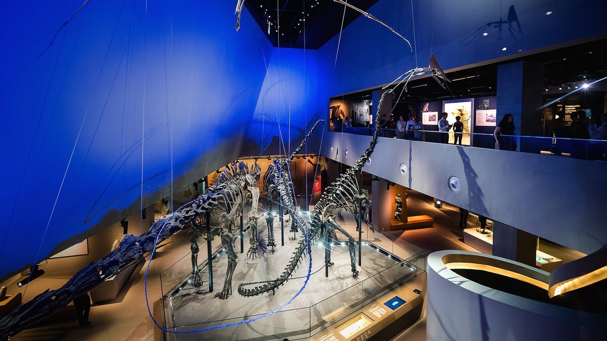 Kid-Friendly Museums to Visit in Singapore for International STEM Day Lee Kong Chian Natural History Museum