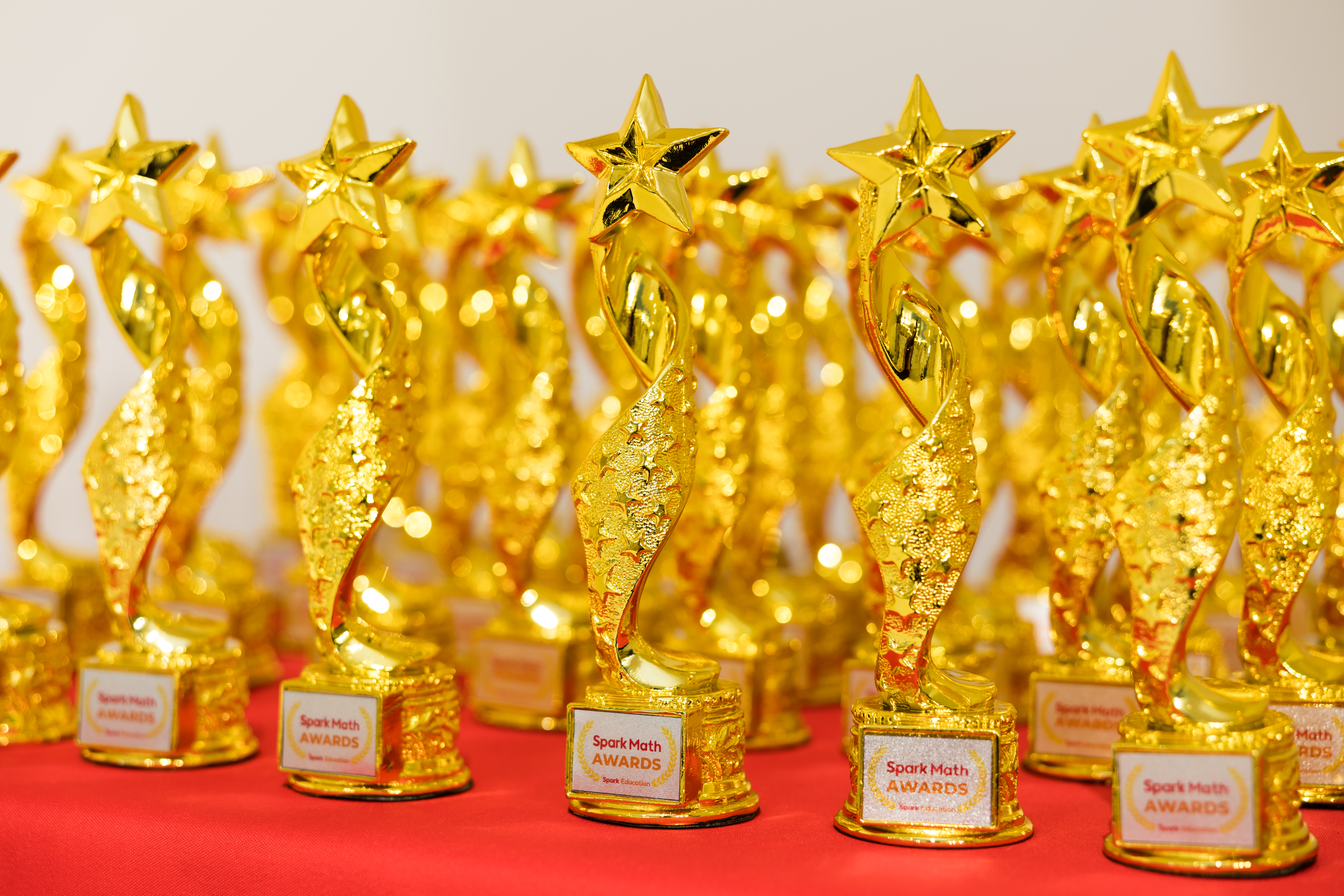 From Sudoku Star to Honour Roll, each award celebrates the unique spark in every Spark Math learner!